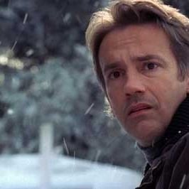 Bilder Ein perfekter Freund