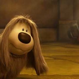 Bilder Dave Borthwick