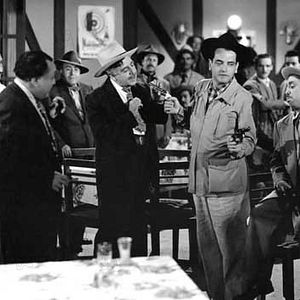 Bilder Fernando Soto