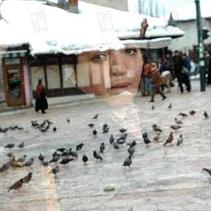 Bilder Jasmila Žbanić