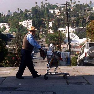 Bilder Chalo Gonzalez