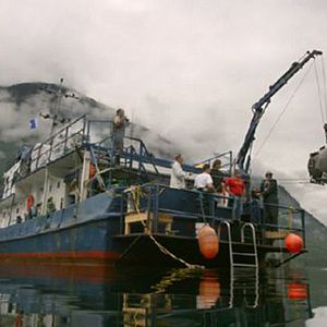 Bilder IMAX: Wunder der Tiefe 3D