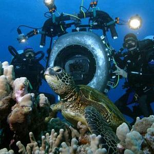 Bilder IMAX: Wunder der Tiefe 3D