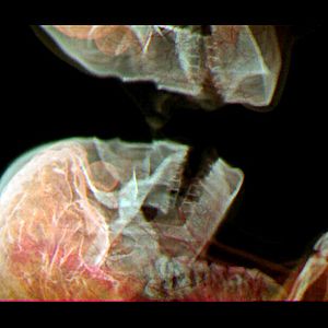 Bilder Bernard Werber