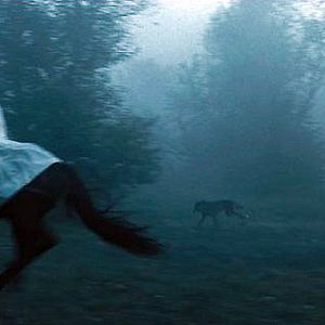 Bilder Courtney Solomon