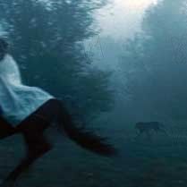 Bilder Courtney Solomon