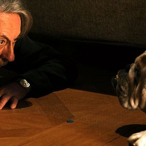 Bilder Wir verstehen uns wunderbar