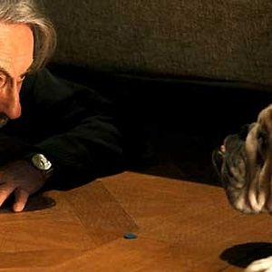 Bilder Wir verstehen uns wunderbar