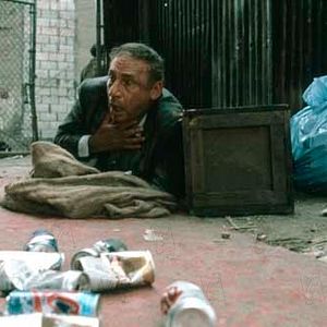 Bilder Das Leben Stinkt