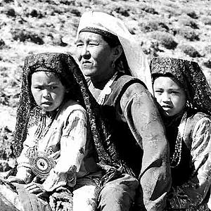 Bilder 37 Uses For A Dead Sheep