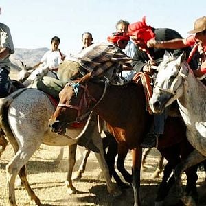 Bilder 37 Uses For A Dead Sheep