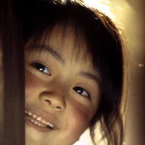 Bilder Samurai der Dämmerung