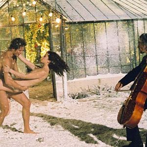 Bilder Lou Brown (II)