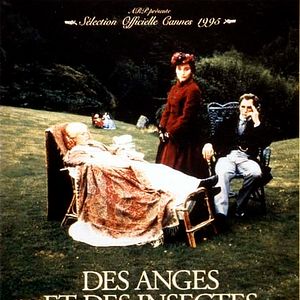 Bilder Engel und Insekten