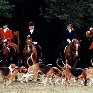 Bilder Charlotte De Turckheim