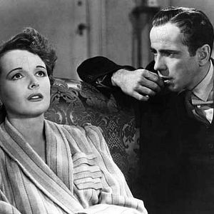 Bilder Die Spur des Falken