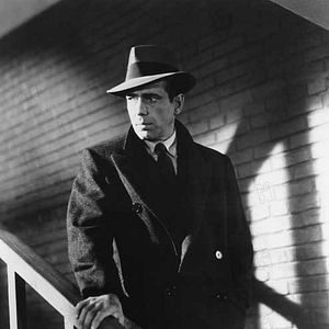 Bilder Die Spur des Falken