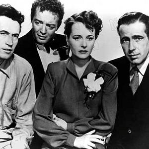 Bilder Die Spur des Falken