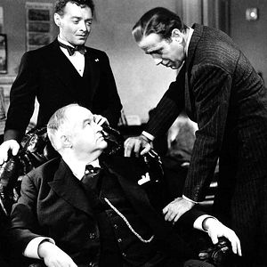 Bilder Die Spur des Falken