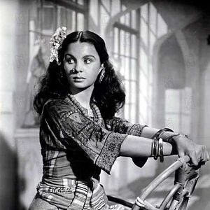 Bilder Die Schwarze Narzisse