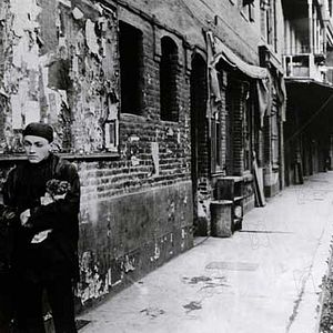 Bilder Eine Blüte gebrochen