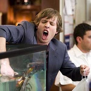 Bilder Der Date-Profi