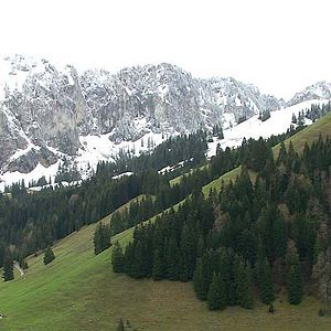 Bilder Jacqueline Veuve