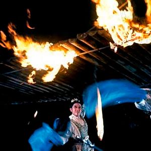 Bilder The 14 Amazones