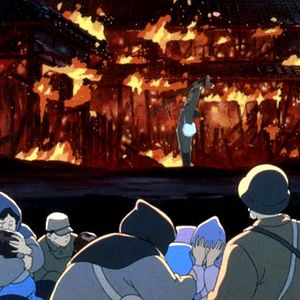 Bilder Die letzten Glühwürmchen