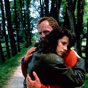 Bilder Die Fliege II