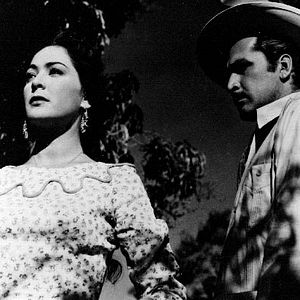 Bilder Der Fluss und der Tod