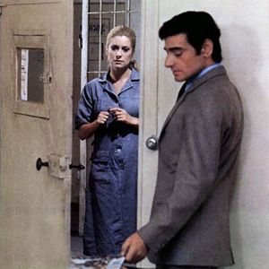 Bilder Ein Hauch von Zärtlichkeit