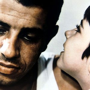 Bilder Das Leben, die Liebe, der Tod