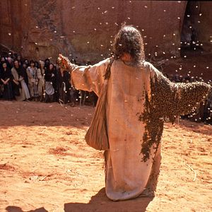 Bilder Die schönste Geschichte der Welt