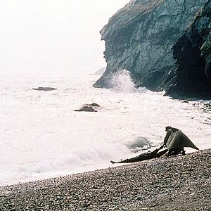 Bilder Driftwood - Der Liebe ausgeliefert