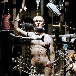 Bilder György Pálfi