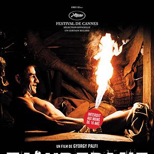 Bilder György Pálfi