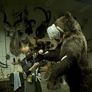 Bilder György Pálfi