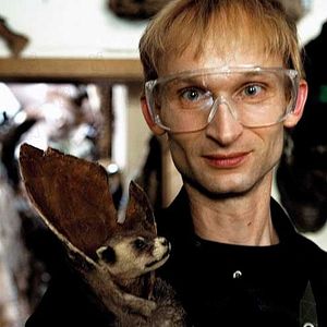 Bilder György Pálfi