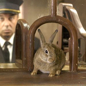 Bilder Marc Rivière