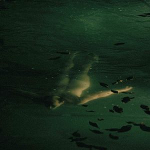 Bilder Jean-Marc Barr