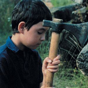 Bilder Laurent Achard