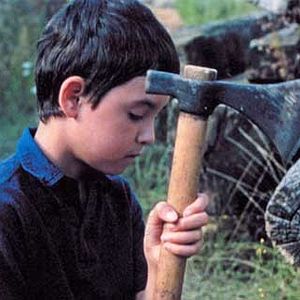 Bilder Laurent Achard