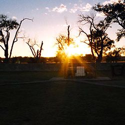 Bilder Anne Feinsilber