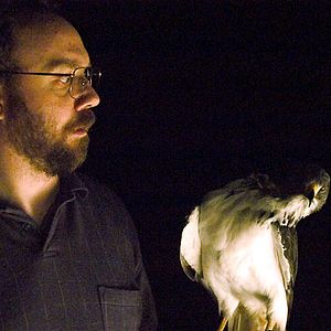 Bilder The Hawk Is Dying