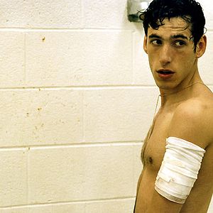 Bilder Der Kuss des Käfers