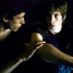 Bilder Der Kuss des Käfers