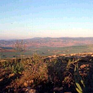 Bilder Djamila Sahraoui