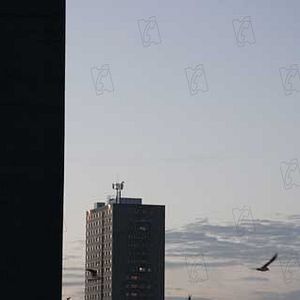 Bilder Andrea Arnold