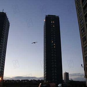 Bilder Andrea Arnold